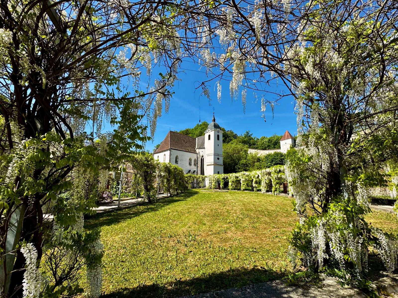 Blick vom Garten zur Kartausenkirche