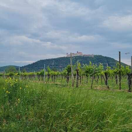 Campus Ministry Krems