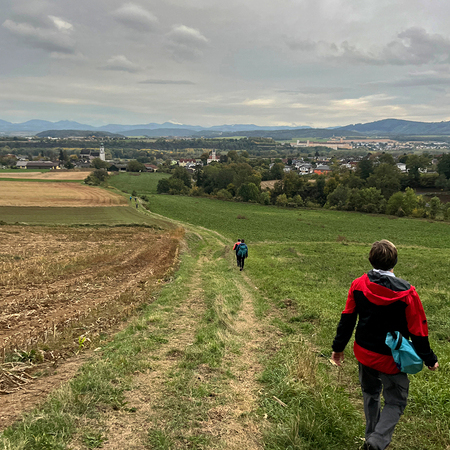 Diözese St. Pölten