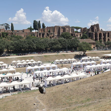 Jubiläum der Jugend 2025 / Diözese St. Pölten Jubiläum der Jugend 2025