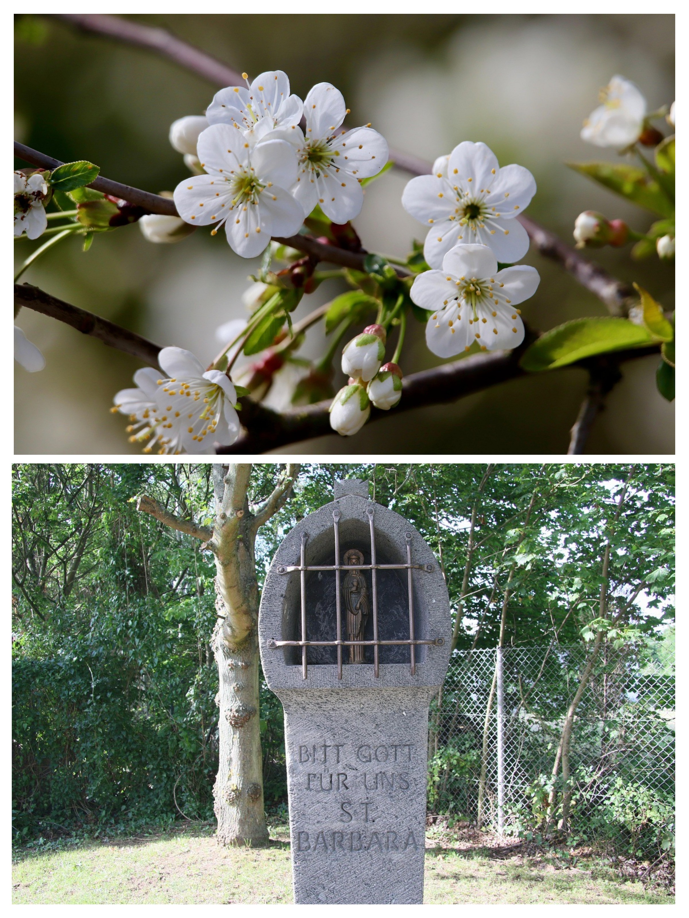 Collage MK / Pixabay