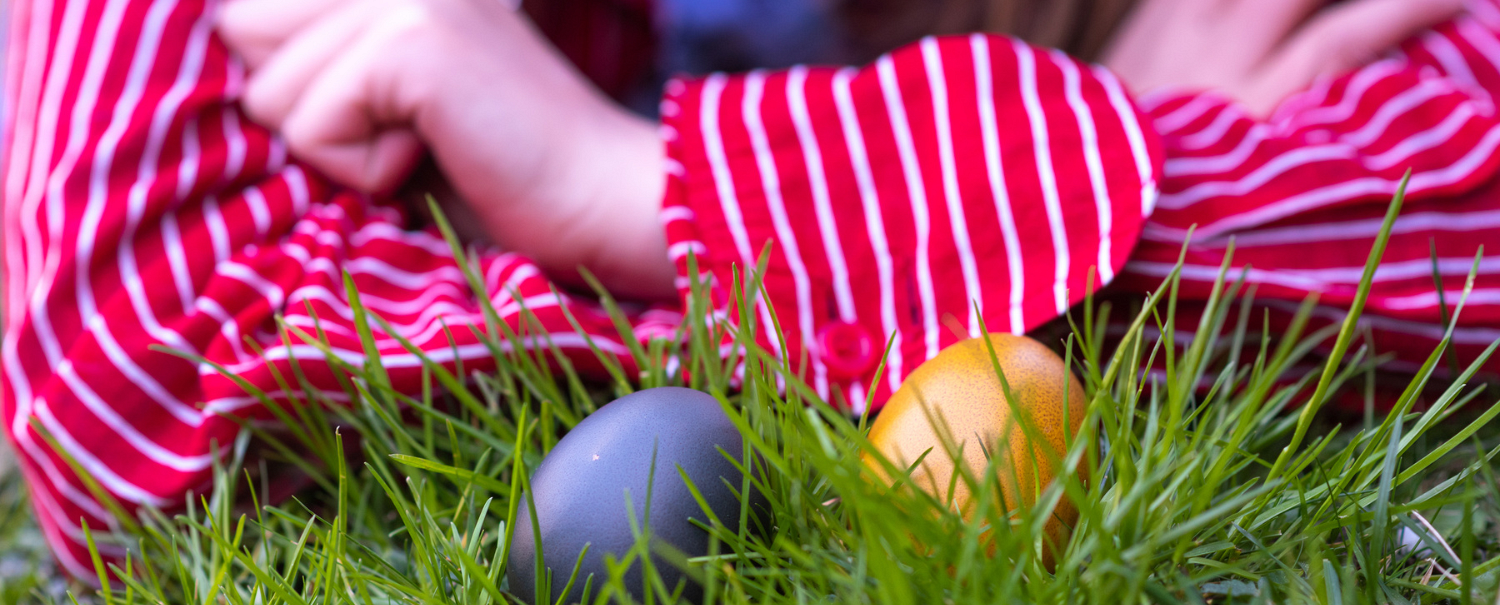 Diözese St. Pölten