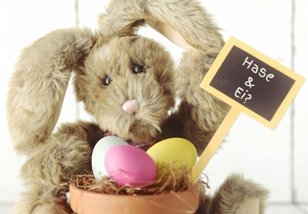 Hase und Ei?