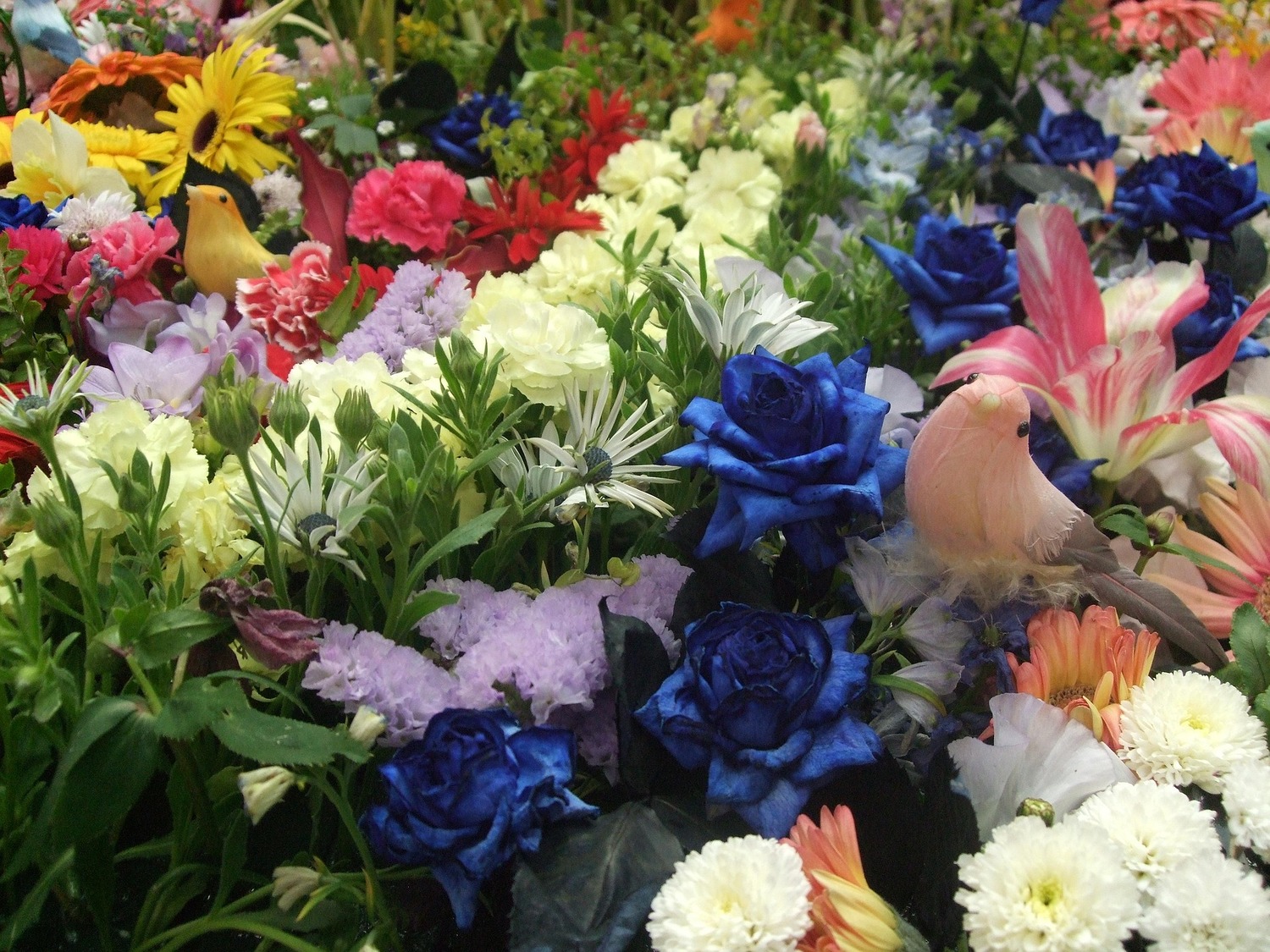 bunte Blumen